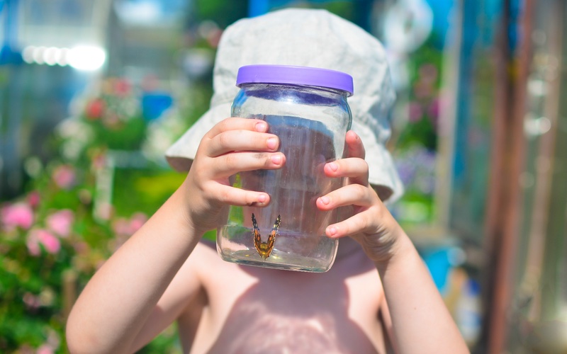 A child holding a butterfly in a jar, exploring the outdoors - Romp n' Roll in Glen Allen, VA.